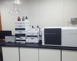 액체크로마토그래피 질량분석기 (LC-MS/MS)