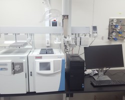 가스크로마토그래피 탠덤질량분석기 (GC-MS/MS)